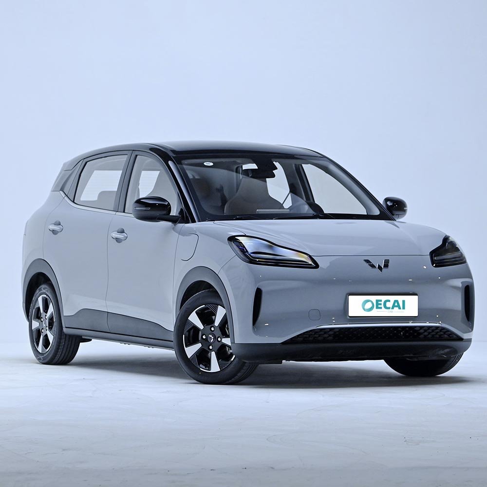 Wuling Bingo Plus (4)