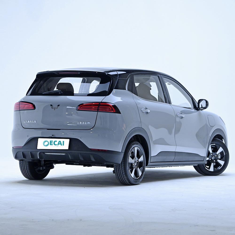 Wuling Bingo Plus (5)