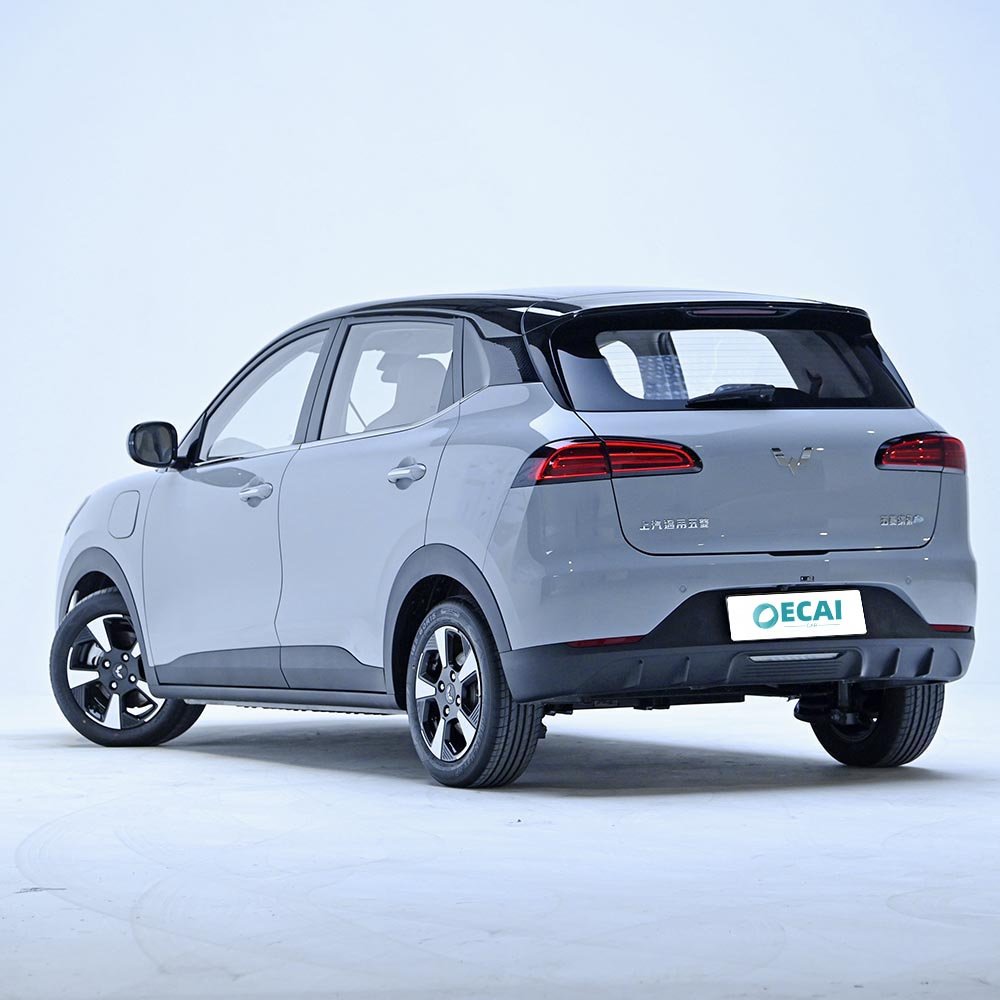 Wuling Bingo Plus (6)