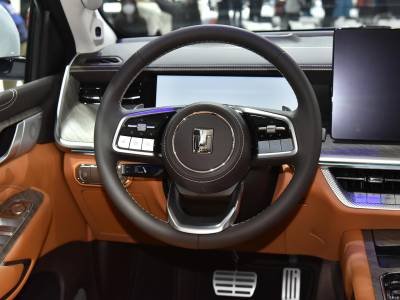 Tank 500 Hi4-T Details (2)