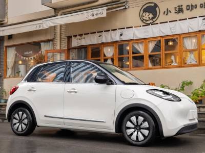 wuling bingo details (6)