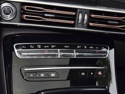 Mercedez Benz EQC Details (5)