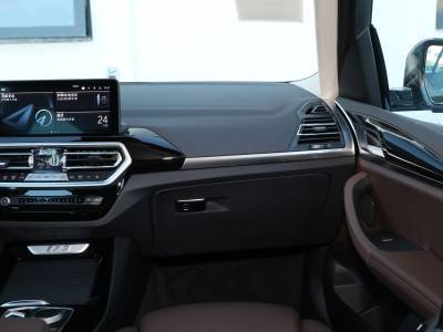BMW iX3 Details (1)
