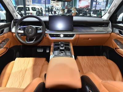 Tank 500 Hi4-T Details (8)