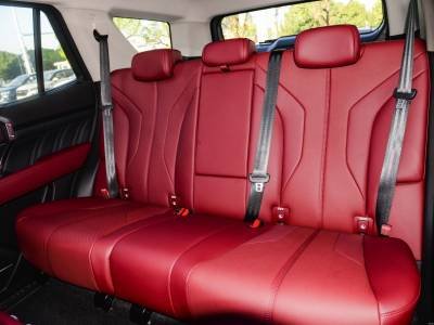 Tank 400 Hi4-T Details (2)