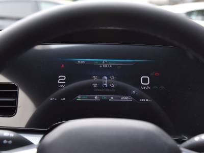 BYD Seal 07 dmi details (1)