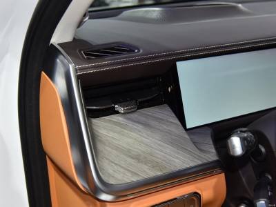 Tank 500 Hi4-T Details (7)