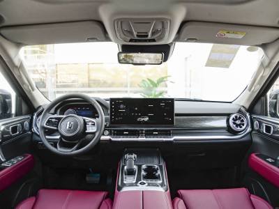 Tank 400 Hi4-T Details (12)